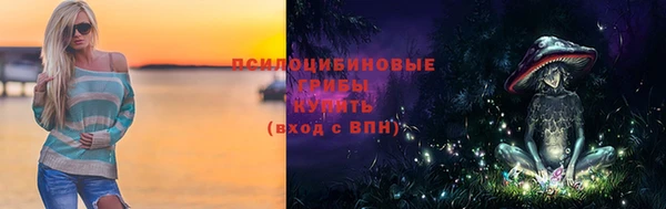 крисы Белокуриха