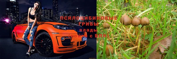 индика Покровск