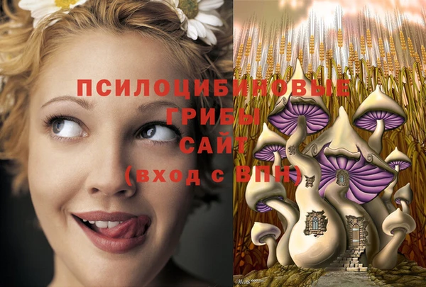 a pvp Белоозёрский